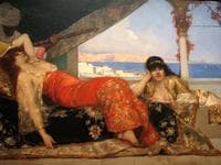 Favorite of the Emir