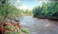 River with wooded banks