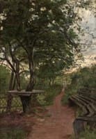 Evening Walk