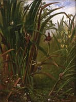 Marsh Interior