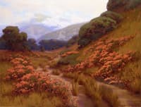 Autumn Wild Flowers