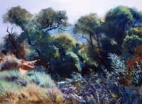 By a Stream
