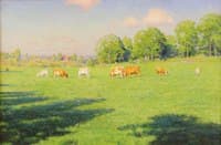 Grazing cows