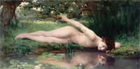 Narcissus