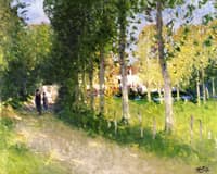 The Stroll