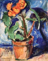 Pot of Flowers