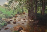 The Stream
