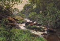 The Stream