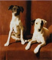 Terriers