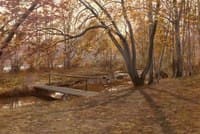 Autumn Landscape