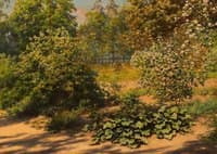 Flowering shrubs in the garden
