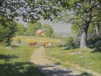 Cows on the Road