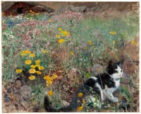 Cat on a Flowery Meadow