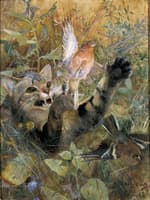 A Cat and a Chaffinch