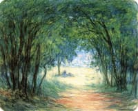 Forest with Figure