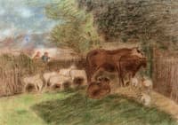 Sheep and Cows