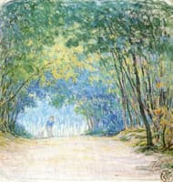 In the Woods