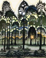 Sunrise in the Forest