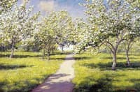 Garden in Spring