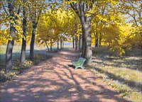 Autumn in Roxen