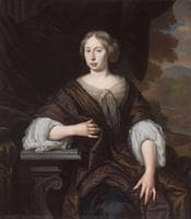 Portrait of a Lady