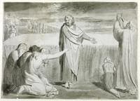 The Good Farmer, Probably the Parable of the Wheat and the Tares