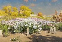 Autumn landscape with phloxes