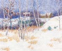 Stand of Birch Trees in Winter