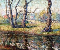 Old Willows