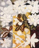 White and Yellow Flowers