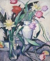 Tulips