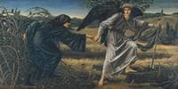 Love and the Pilgrim
