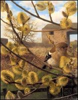 Hen Chaffinche with Willow Catkins