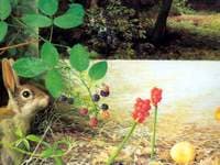 The Artist's Garden