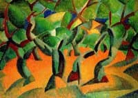 Olive Grove