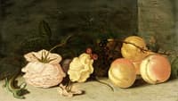 A Still Life with Peaches, Roses, Red and Black Berries