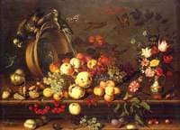 Still-Life with Fruits, Shells and Insects