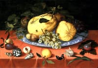 Fruit still life with shells and a tulip