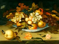 A Still Life with a Delft Bowl Containing Fruits