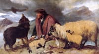 Highland Spate - Sheep Being Rescued from the Rocks