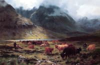 Highland Cattle in a Glen
