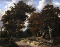 Road through an oak Forest