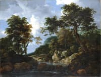 The Forest Stream