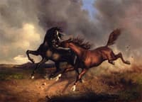 Horses during a Thunderstorm