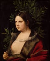 Portrait of a Young Lady