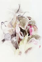 Flowers and Fruit