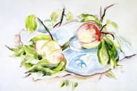 Peaches