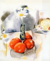 Daisies and Tomatoes