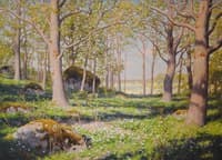 Spring landscape