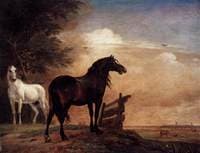 Two Horses near a Gate in the Meadow